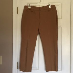 Ann Taylor Petite Ankle Pants